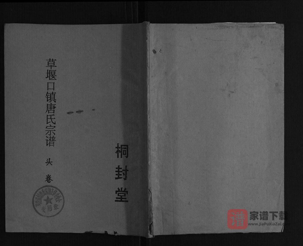 江苏盐城大丰区草堰口镇唐氏宗谱（桐封堂）PDF高清电子版下载