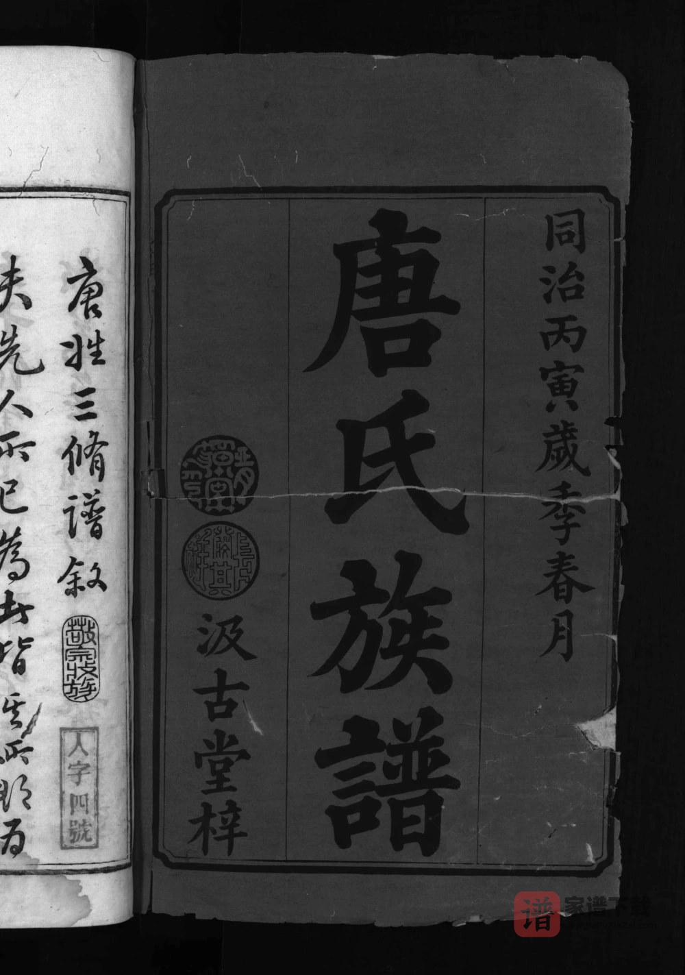 湖南益阳安化唐氏三修族谱（晋阳堂）PDF高清电子版下载