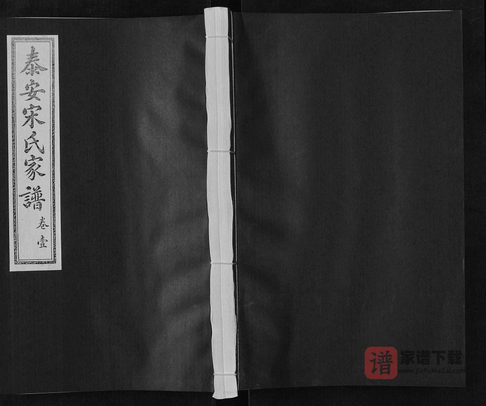 山东泰安宋氏家谱PDF高清电子版下载