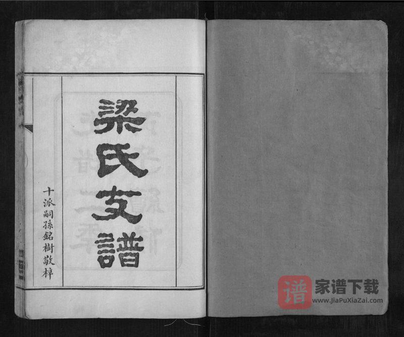 湖南长沙梁氏支谱PDF高清电子版下载-家谱下载