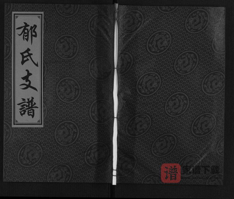 安徽亳州蒙城郁氏支谱（文盛堂）PDF高清电子版下载-家谱下载