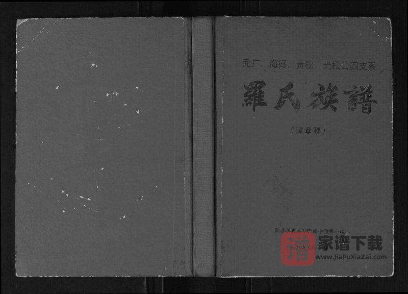广西元广海好贵松光松公四支系罗氏族谱PDF高清电子版下载-家谱下载