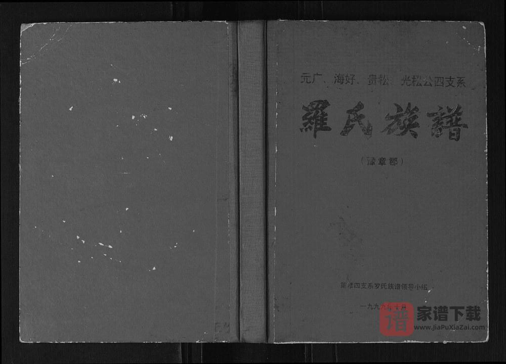 广西元广海好贵松光松公四支系罗氏族谱PDF高清电子版下载