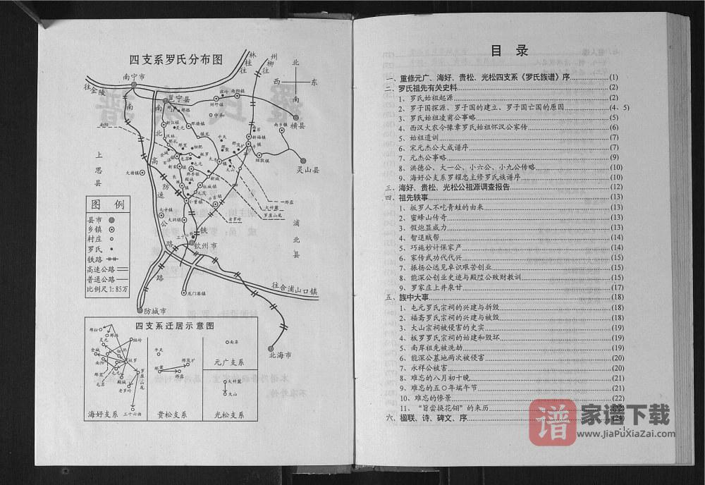 图片[2]-广西元广海好贵松光松公四支系罗氏族谱PDF高清电子版下载-家谱下载