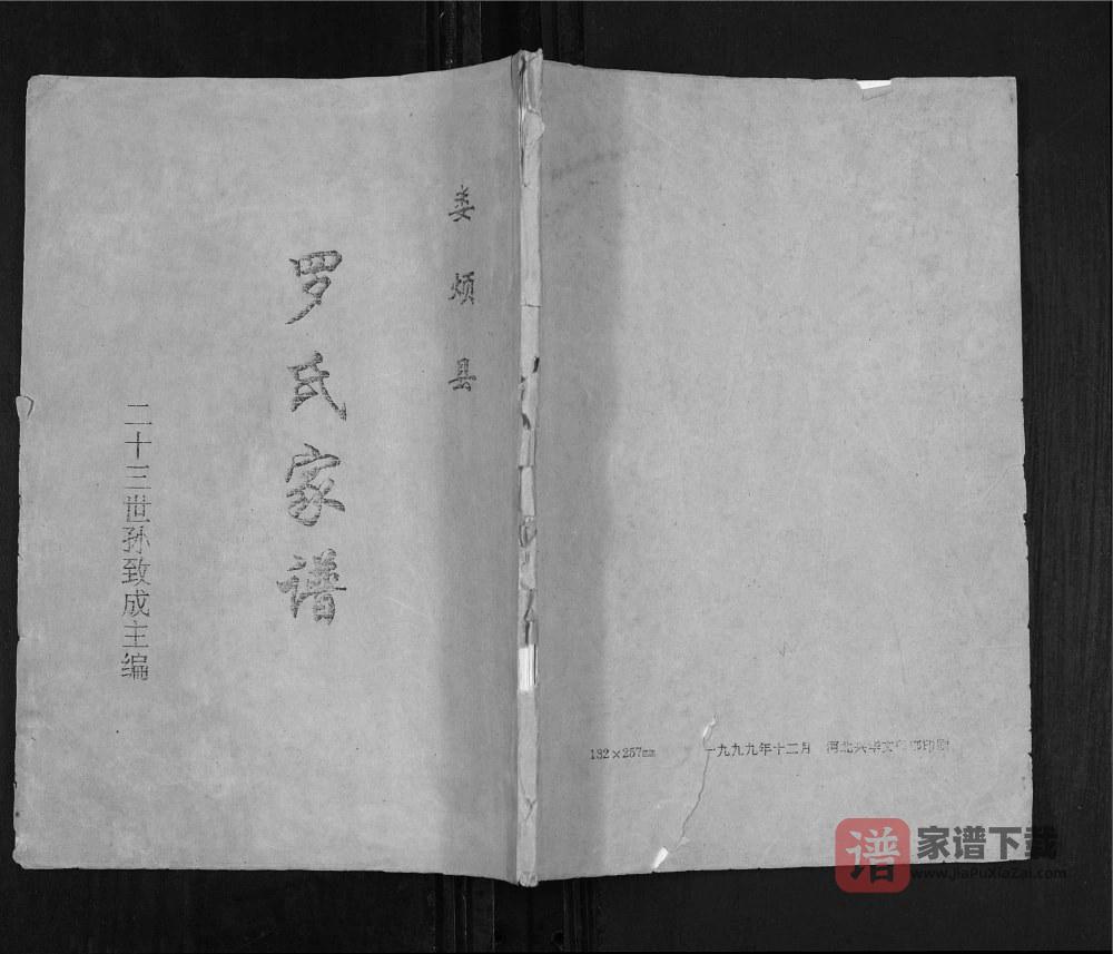 山西太原娄烦县罗氏家谱PDF高清电子版下载