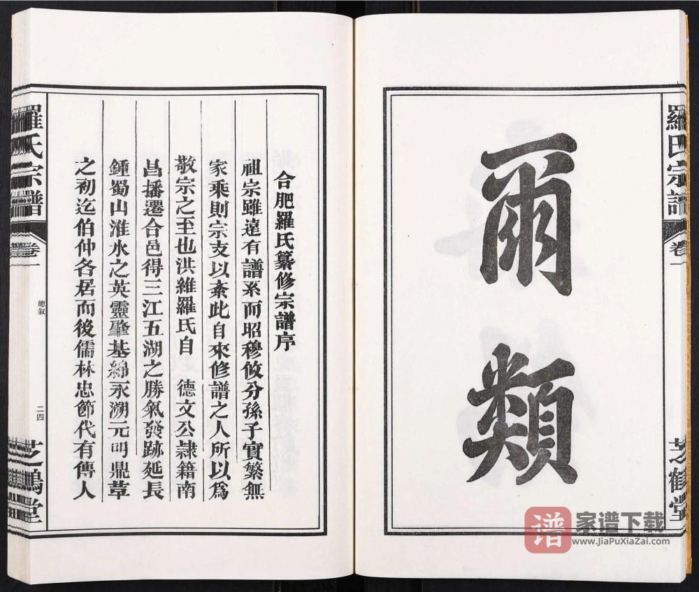 图片[2]-安徽合肥关家庙旧镇庙罗氏宗谱（芝鹤堂）PDF高清电子版下载-家谱下载