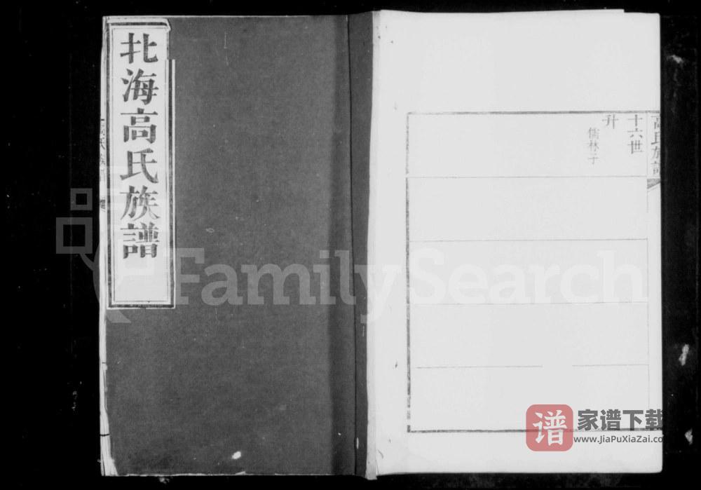 山东潍坊北海高氏族谱PDF高清电子版下载
