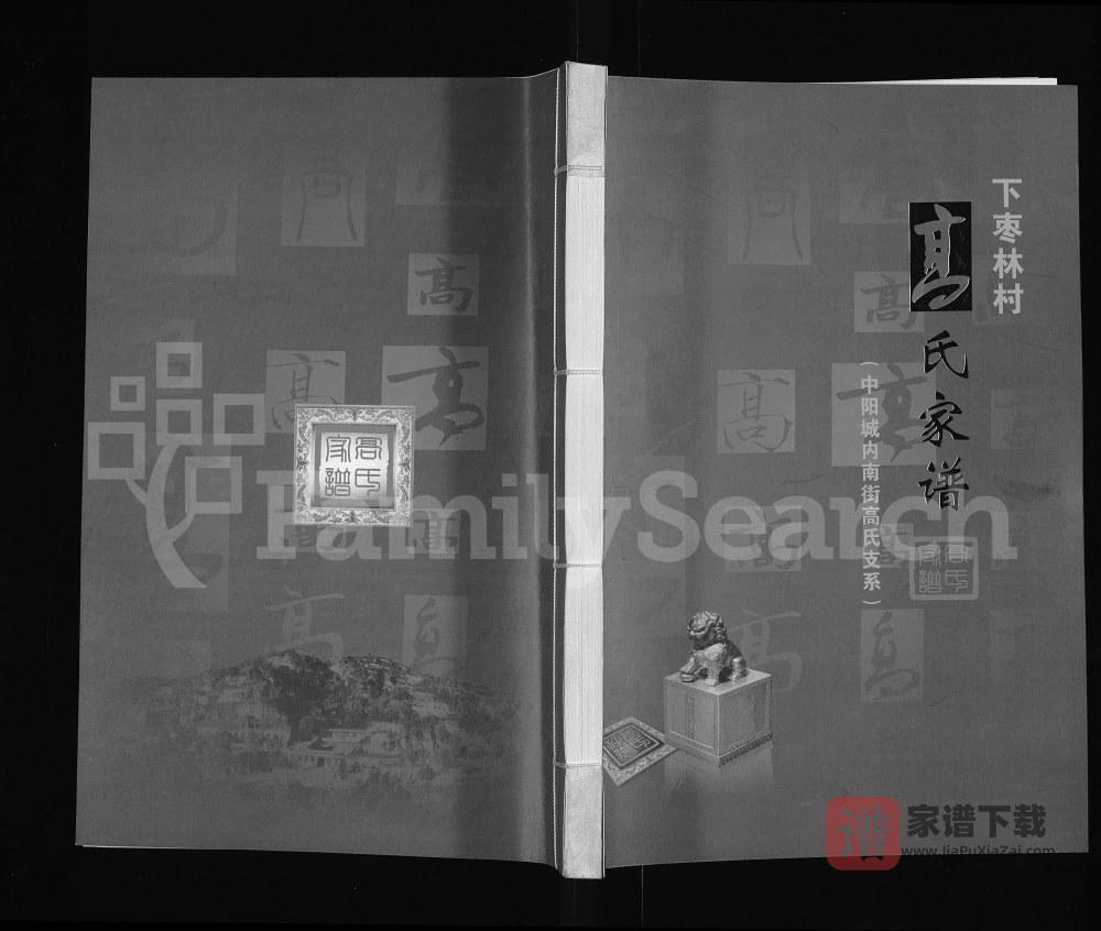 山西吕梁中阳县下枣林村高氏家谱PDF高清电子版下载