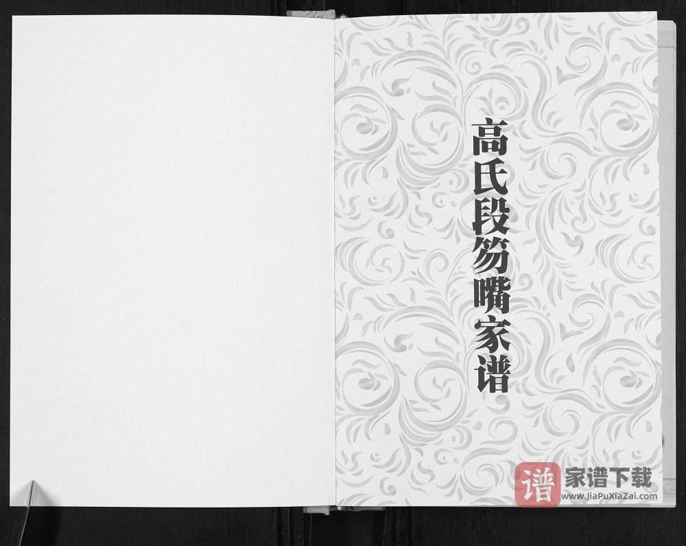 图片[2]-山西忻州神池县高氏段笏嘴家谱PDF高清电子版下载-家谱下载