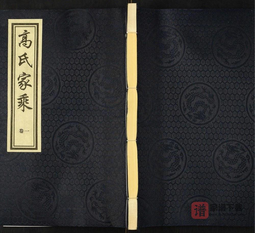 河北沧州南皮东光高氏家乘PDF高清电子版下载