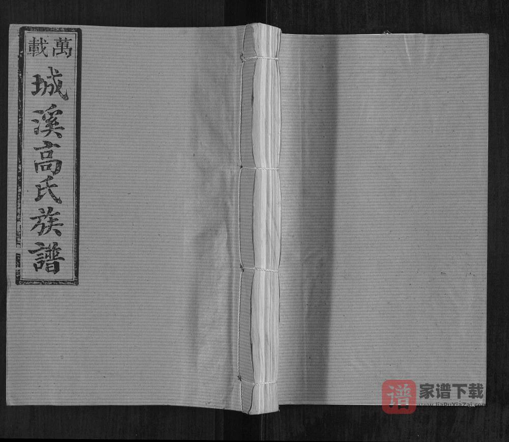图片[1]-江西宜春万载城溪高氏族谱（渤海堂）PDF高清电子版下载-家谱下载