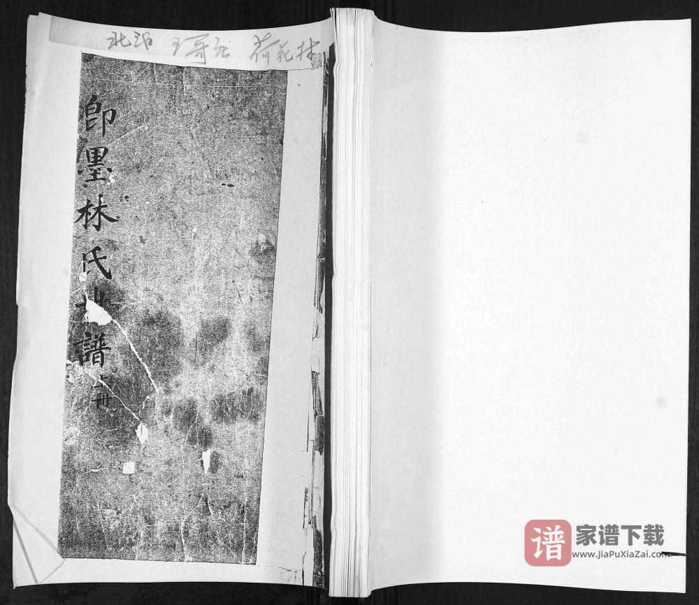 图片[1]-山东青岛即墨林氏世谱PDF高清电子版下载-家谱下载