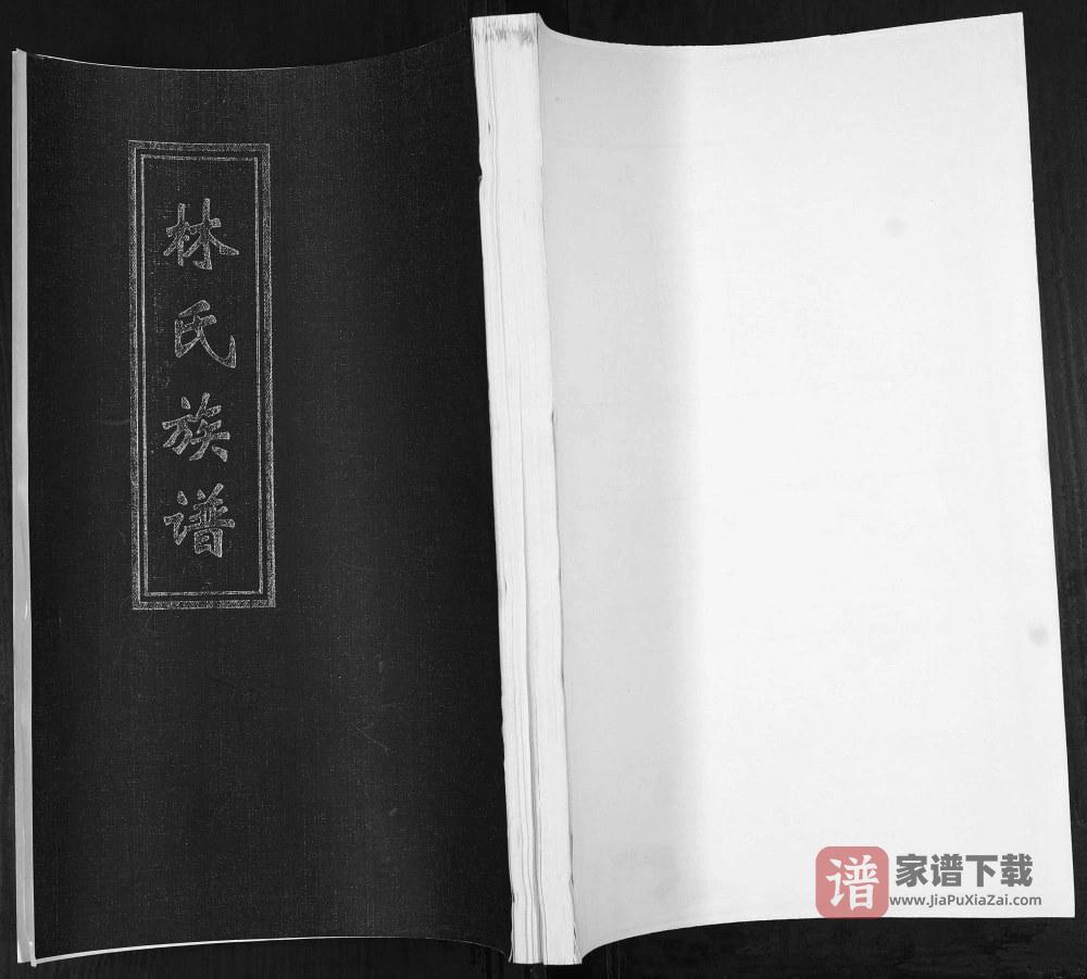 图片[1]-山东青岛即墨林氏族谱提纲宗派图PDF高清电子版下载-家谱下载