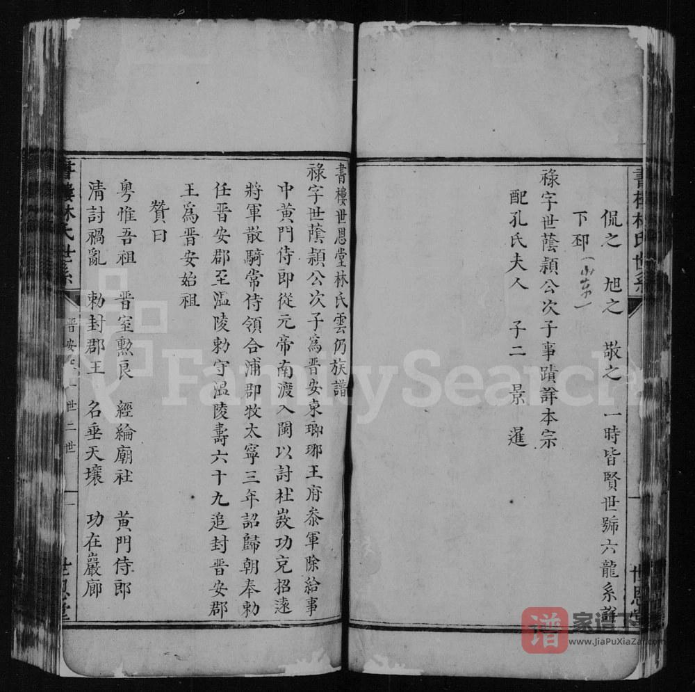 图片[2]-福建莆田书楼林氏族谱（世恩堂）PDF高清电子版下载-家谱下载
