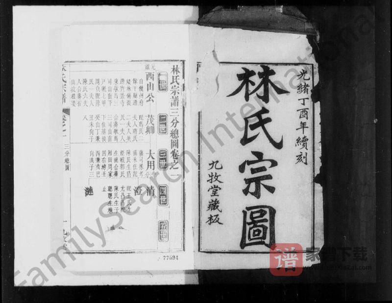 湖北麻城林氏宗谱（九牧堂）PDF高清电子版下载-家谱下载