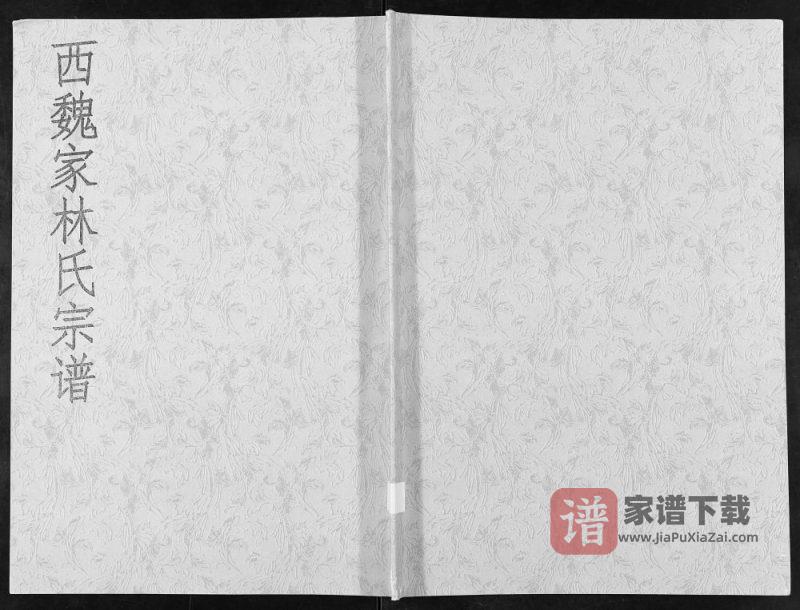 山东莱州西魏家林氏宗谱PDF高清电子版下载-家谱下载