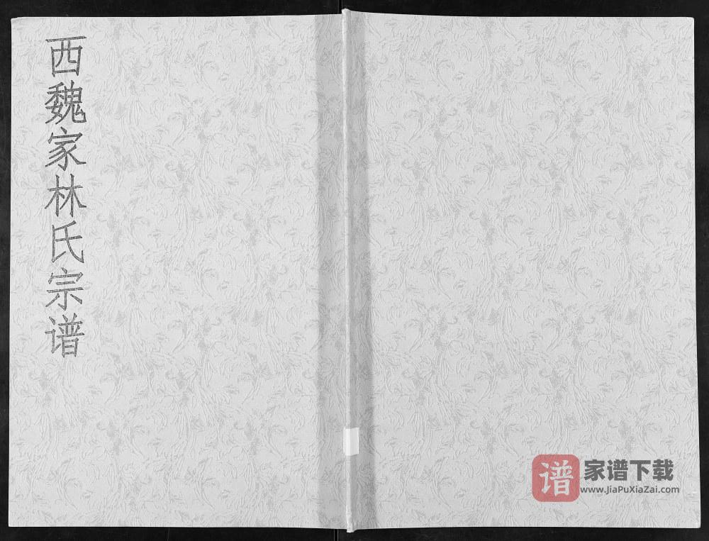 图片[1]-山东莱州西魏家林氏宗谱PDF高清电子版下载-家谱下载