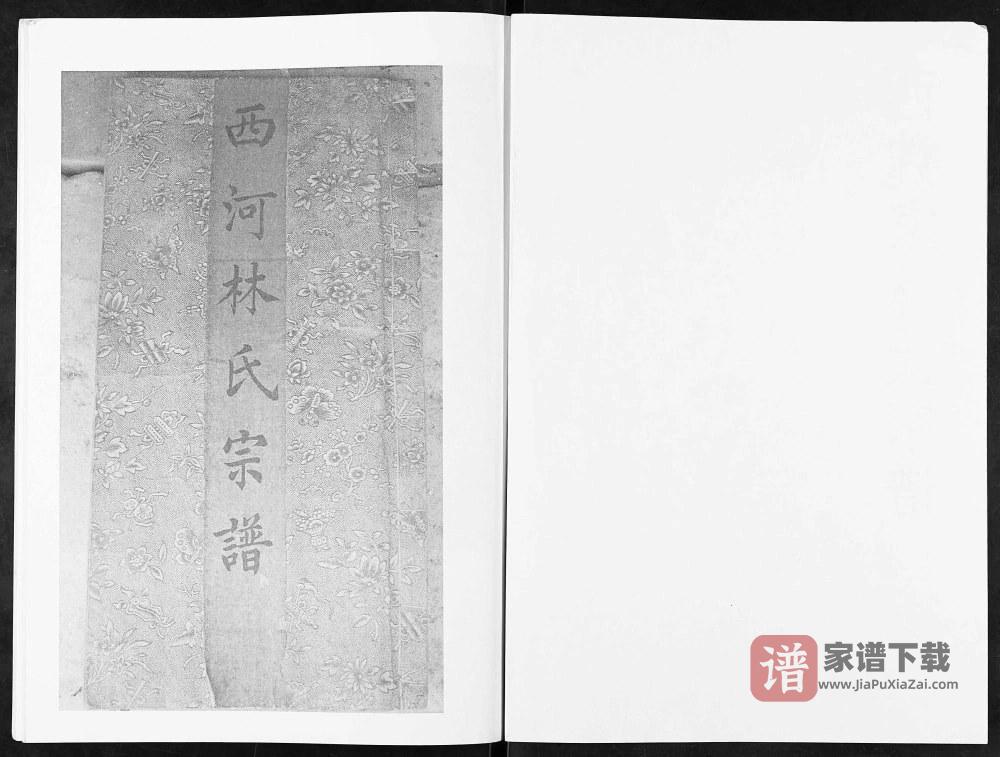 图片[2]-山东莱州西魏家林氏宗谱PDF高清电子版下载-家谱下载