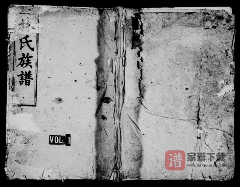 湖南岳阳平江林氏族谱（济南堂）PDF高清电子版下载-家谱下载