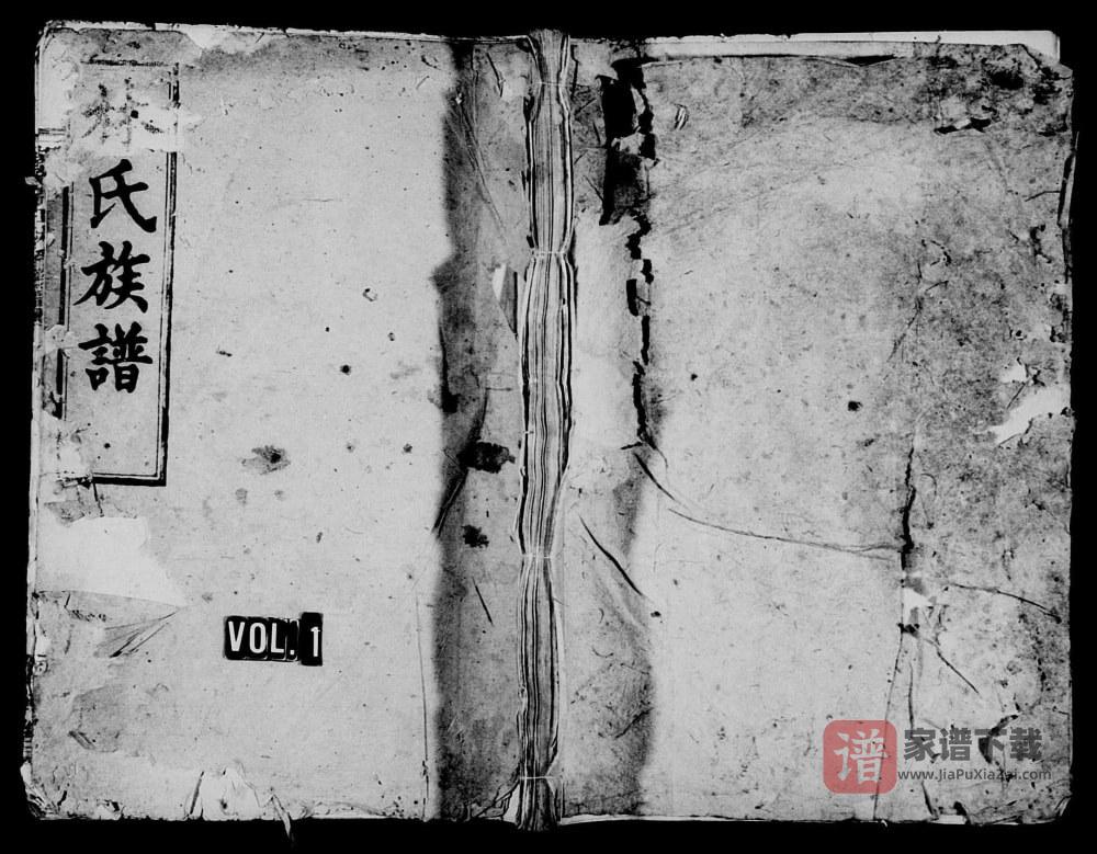 图片[1]-湖南岳阳平江林氏族谱（济南堂）PDF高清电子版下载-家谱下载