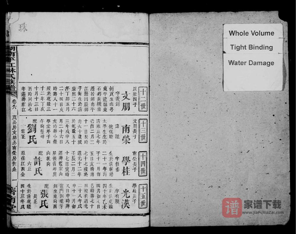 图片[2]-湖南岳阳平江林氏族谱（济南堂）PDF高清电子版下载-家谱下载