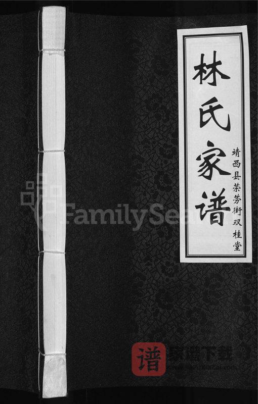 广西靖西荣劳街林氏家谱（双桂堂）PDF高清电子版下载-家谱下载