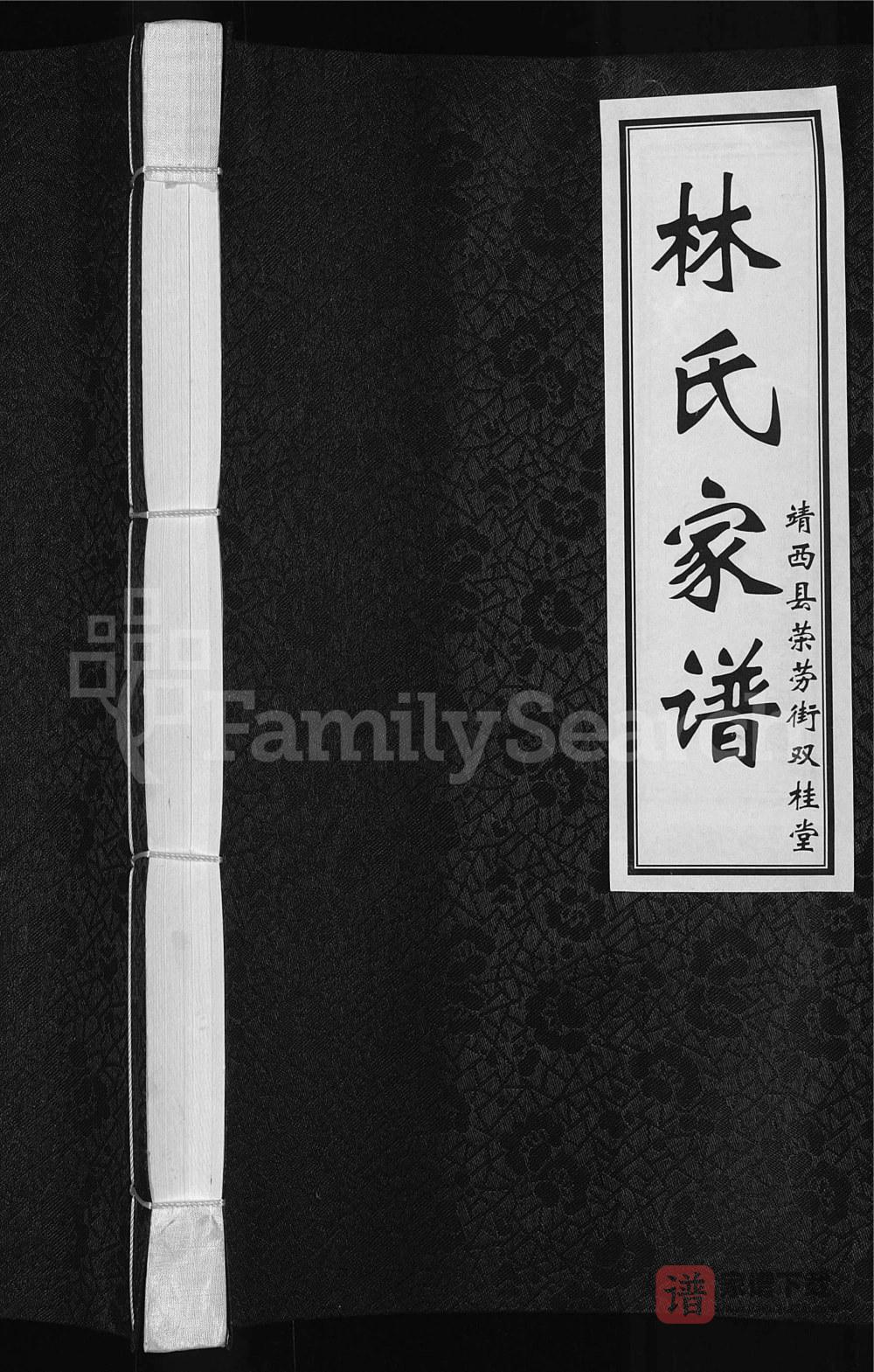 图片[1]-广西靖西荣劳街林氏家谱（双桂堂）PDF高清电子版下载-家谱下载