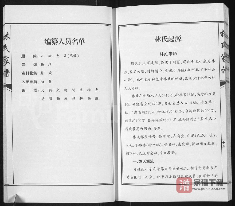 图片[2]-广西靖西荣劳街林氏家谱（双桂堂）PDF高清电子版下载-家谱下载