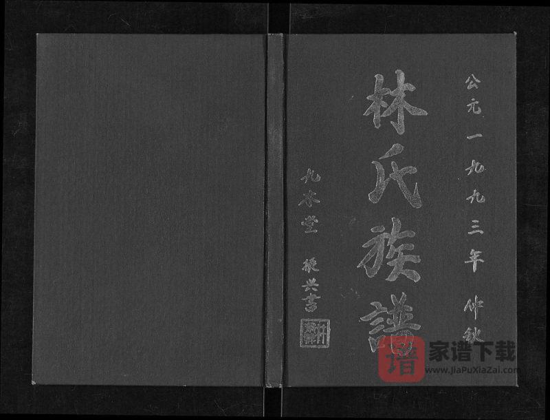 江苏淮安清江浦区林氏族谱（九木堂）PDF高清电子版下载-家谱下载