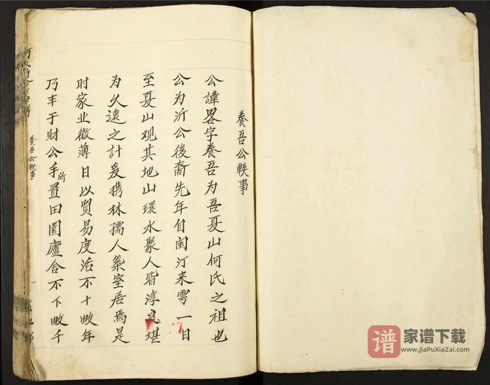 图片[1]-江西赣州于都夏山何氏沂公房草谱PDF高清电子版下载-家谱下载