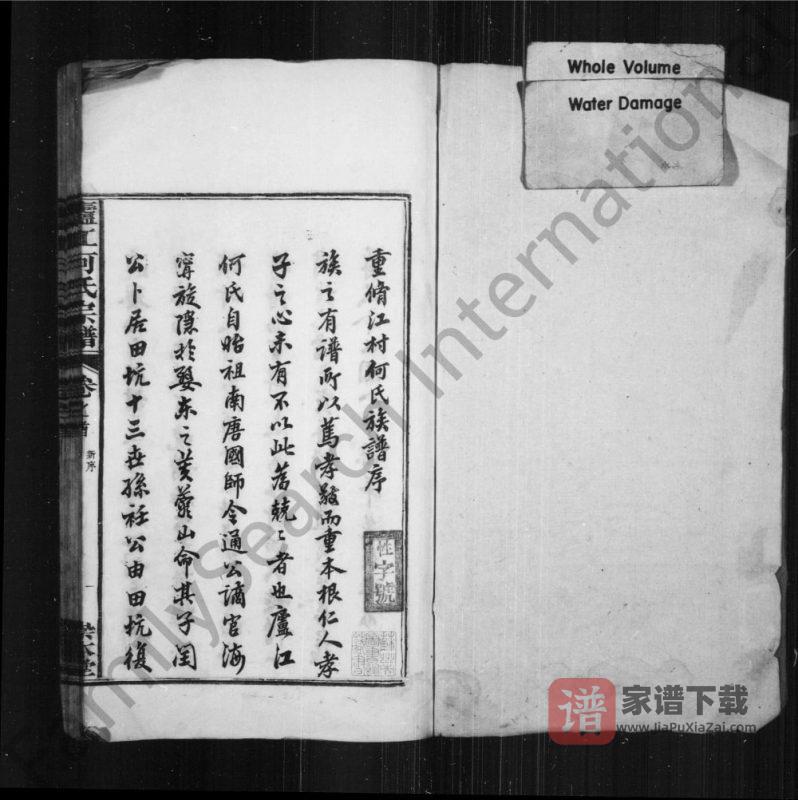 江西上饶婺源县庐江何氏宗谱(崇本堂)PDF高清电子版下载-家谱下载