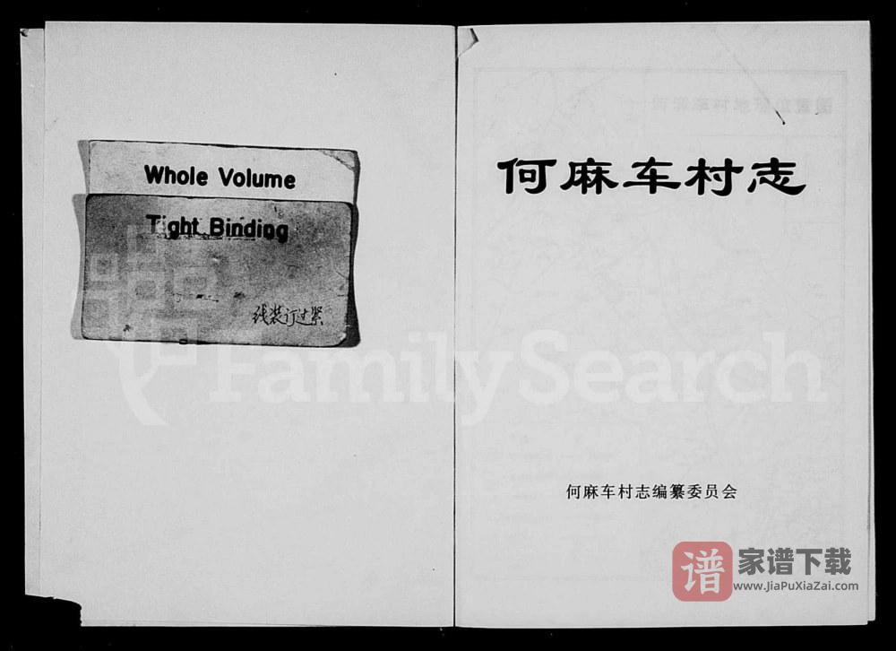 图片[1]-浙江义乌何麻车村志PDF高清电子版下载-家谱下载