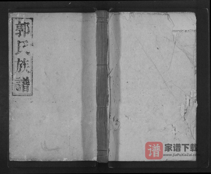 湖南郴州桂东县郭氏族谱PDF高清电子版下载-家谱下载