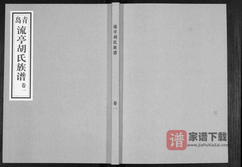 山东青岛城阳区流亭胡氏族谱PDF高清电子版下载-家谱下载