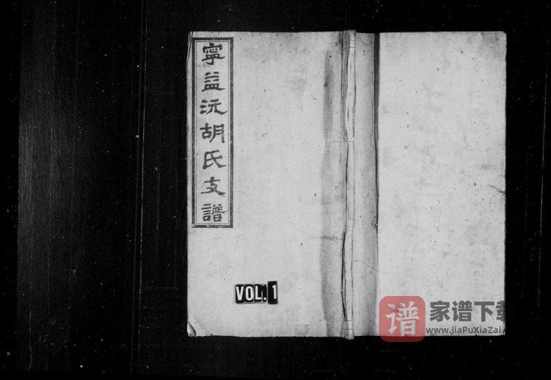 湖南宁乡益阳安化沅江宁益沅胡氏支谱(安定堂)PDF高清电子版下载-家谱下载