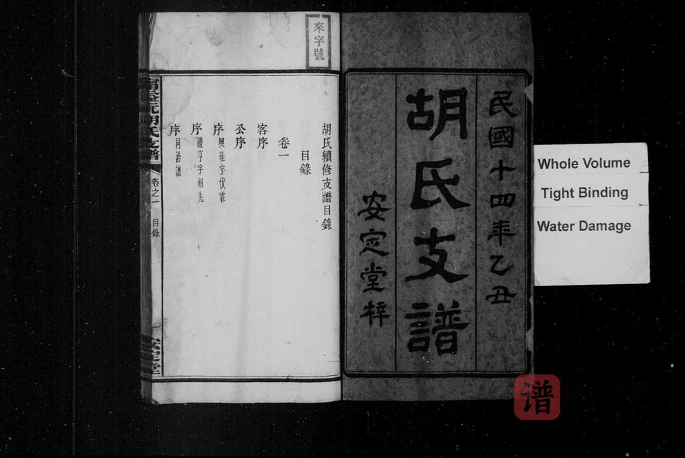 图片[2]-湖南宁乡益阳安化沅江宁益沅胡氏支谱（安定堂）PDF高清电子版下载-家谱下载