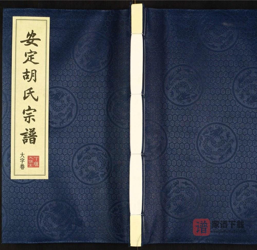 图片[1]-江苏常州安定胡氏宗谱（大雅堂）PDF高清电子版下载-家谱下载