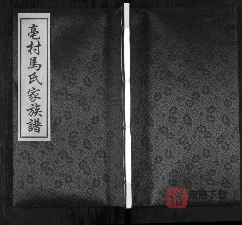 江苏宜兴亳村马氏家族谱（德孝堂）PDF高清电子版下载-家谱下载