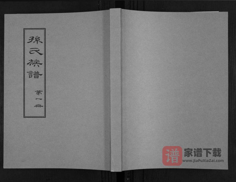 山东东营广饶县孙氏族谱PDF高清电子版下载-家谱下载