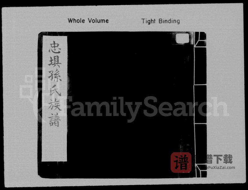 广东河源紫金县忠坝孙氏族谱PDF高清电子版下载-家谱下载