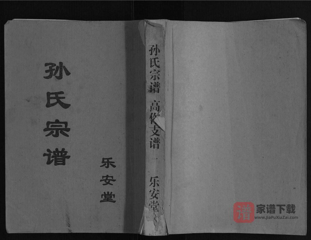 江苏盐城建湖县孙氏宗谱高作支谱（乐安堂）PDF高清电子版下载