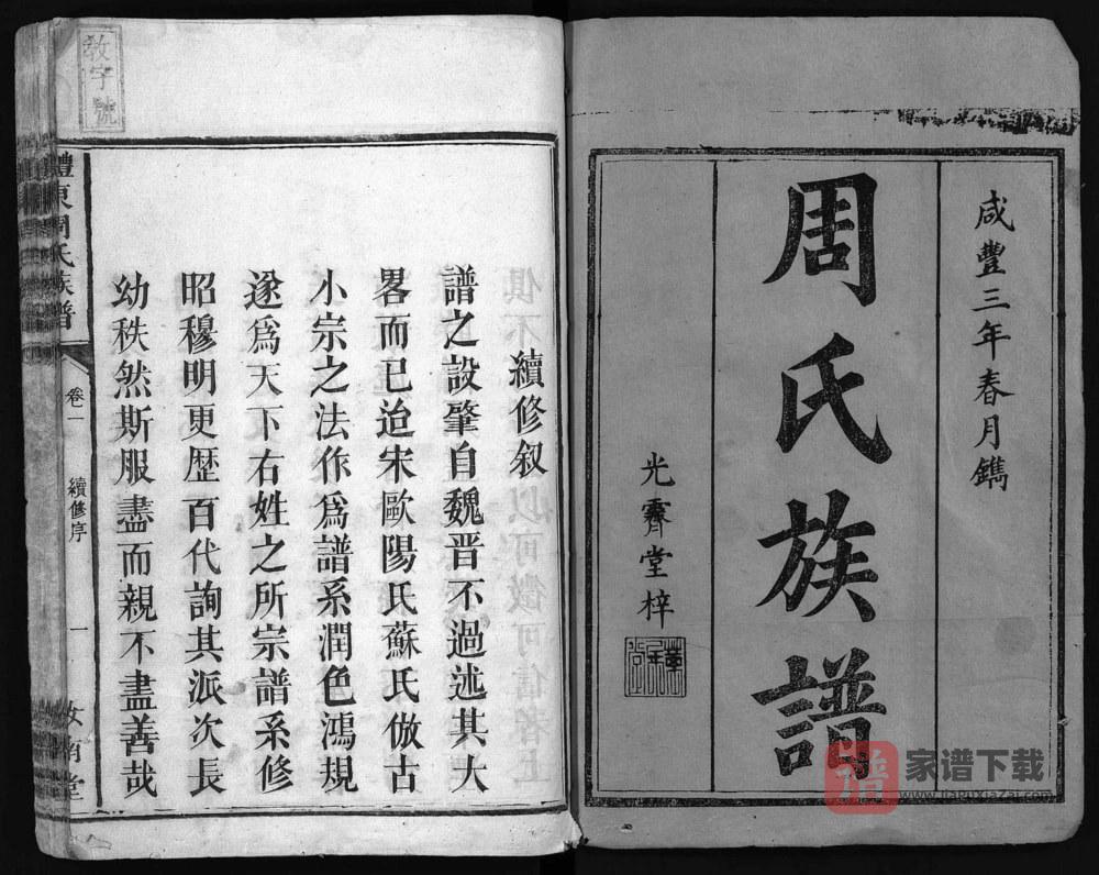 图片[1]-湖南醴陵醴东周氏族谱（汝南堂）PDF高清电子版下载-家谱下载