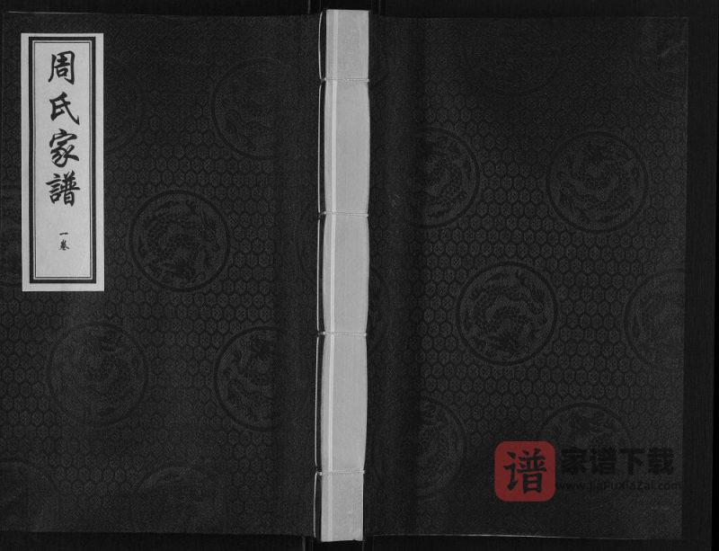 河北保定阜平县北果元乡光城村周氏家谱PDF高清电子版下载-家谱下载