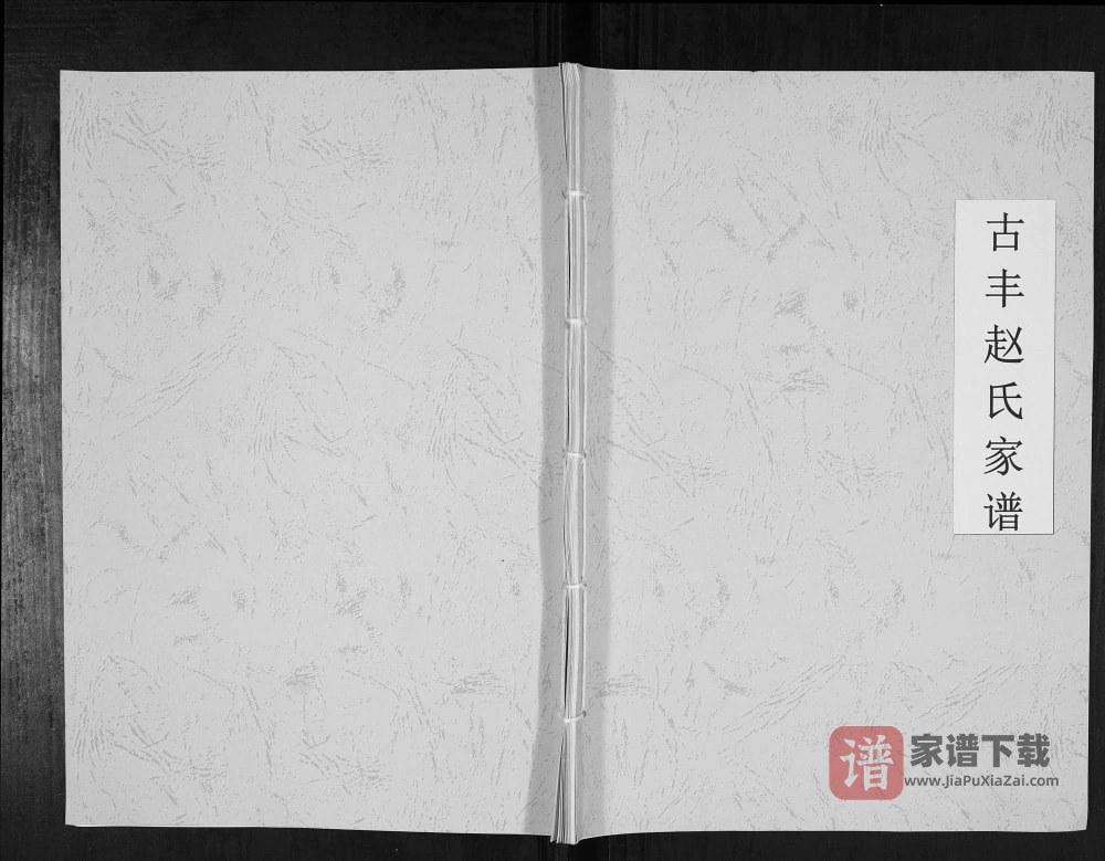 图片[1]-江苏徐州丰县古丰赵氏家谱（琴鹤堂）PDF高清电子版下载-家谱下载