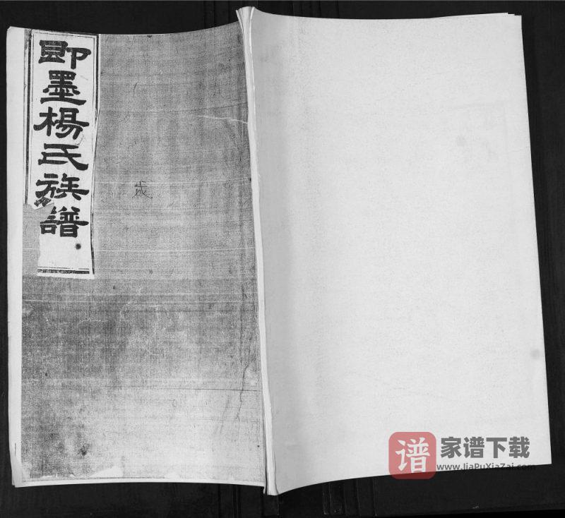 山东青岛即墨栲栳村杨氏族谱PDF高清电子版下载-家谱下载