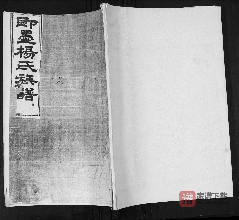 山东青岛即墨栲栳村杨氏族谱PDF高清电子版下载