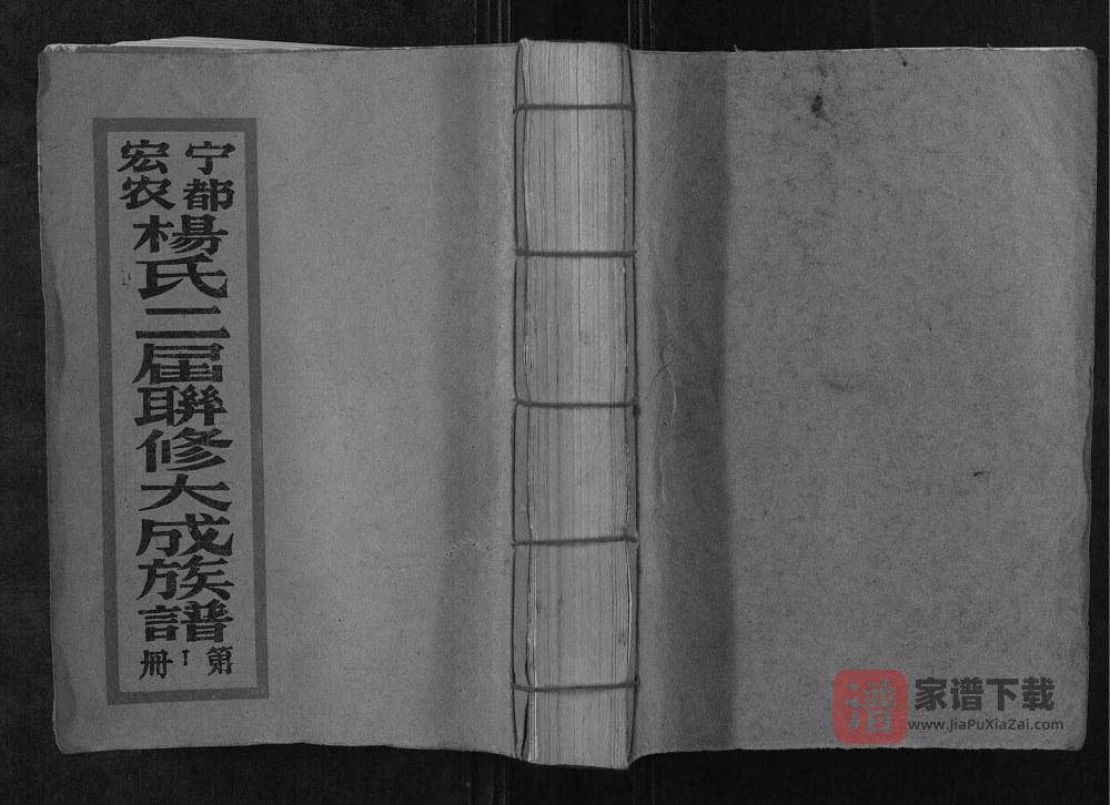 江西赣州宁都宏农杨氏二届联修大成族谱PDF高清电子版下载
