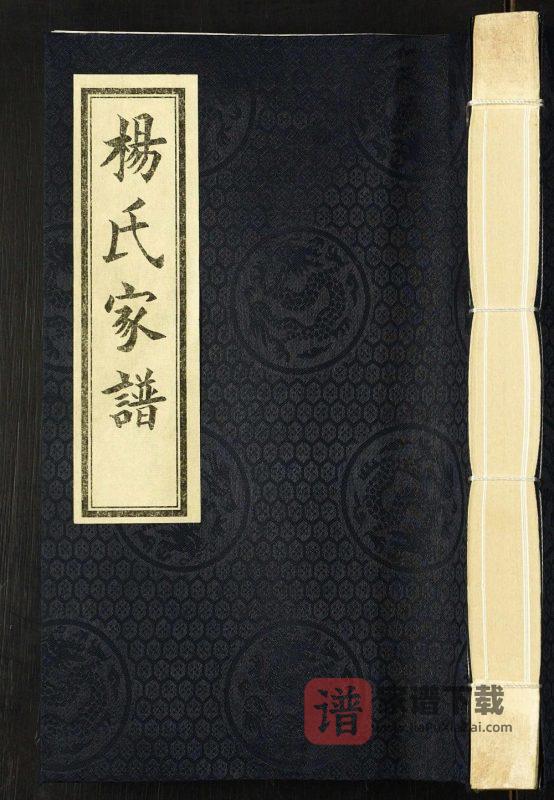 河北沧州沧县后侯村杨氏家谱PDF高清电子版下载-家谱下载