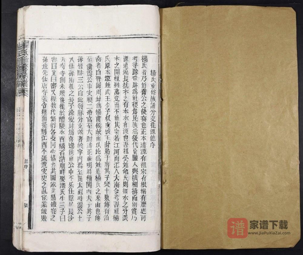图片[2]-江西樟树杨氏重修族谱PDF高清电子版下载-家谱下载