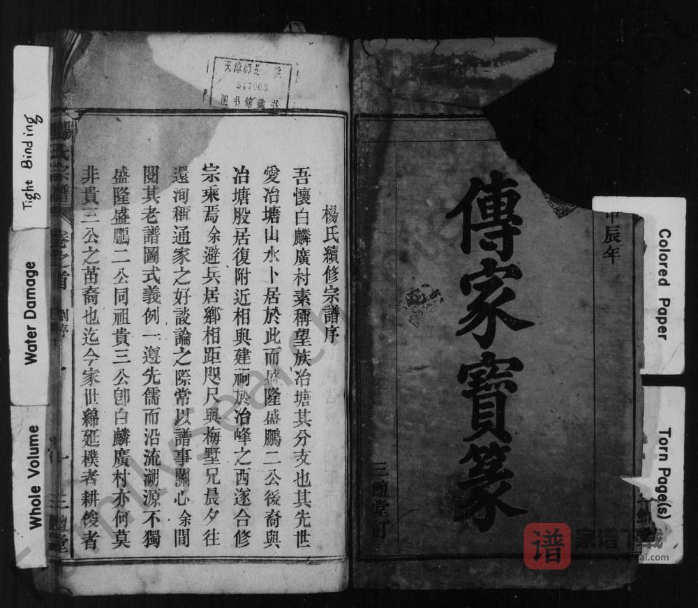 图片[2]-安徽安庆怀宁县杨氏宗谱（三鳣堂）PDF高清电子版下载-家谱下载